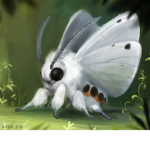 Moths United .-.