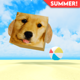 [SUMMER! 🏖️] Raise A Puppy! 🐶