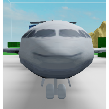 airplaine story