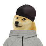 DogeYns