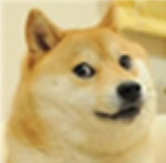 Hddo