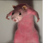 P ᴇ ᴀ ᴄ ʜ ʏ ᴄʟᴏᴛʜɪɴɢ ᴀɴᴅ ᴀᴇsᴛʜᴇᴛɪᴄs