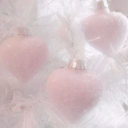 ୨♡୧