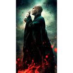 Harry Potter Voldemort Fanclub
