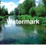 Watermark Pictures