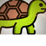 Turtle is cools