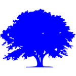 Blue Tree Studios
