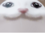 냥ss