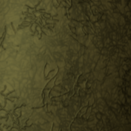 Spring Trap Texture Roblox decal