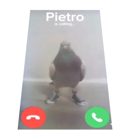 Tuff Pigeon cape Roblox item