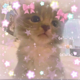 ♡ · · 🎀 ୭ ˚. ᵎᵎ tny kitty ꒰^. . ྀི^꒱੭◝  ᙆ𝗓﹒𐰁˚