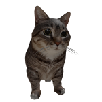Pepper Chef Cat