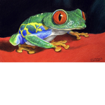 FROG BOISS