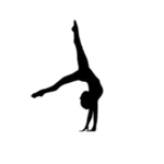 Bloxy Gymnastics