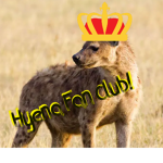 Hyena Fan Club