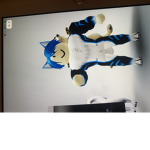 Rexcwboy