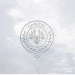 The Rising Of Panem