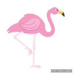 !Flamingo•Scarlett!