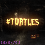Turtle's Dhc