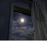 Moonlight's fan group!