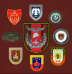 (LOA) Genel Branş