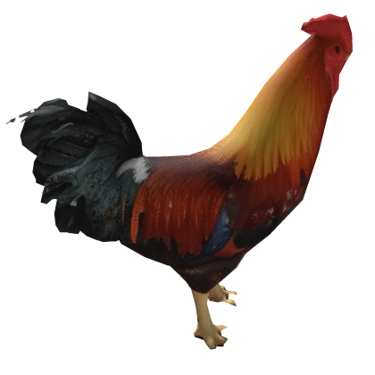 Chicken Fighting (Thai)