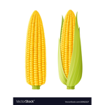 Cobs