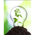 Eco Productions