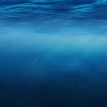 admire the ocean.