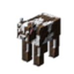 〈APEXCLAN〉