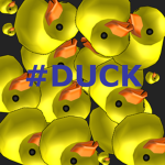 Ducks gang