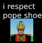 pope shoe respectors