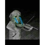 D e p r e s s i n g V i b e s