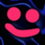 Blip Bloop Blap Bop Group Thumbnail