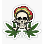 Snoop Pirates