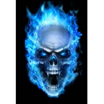 Skull reckless