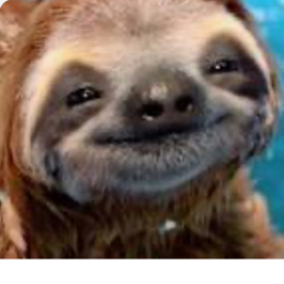 Sloth Hangout [Home]
