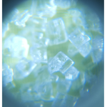 하바