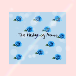 Hedgehog army obby