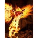 Firey Eagle Sqaud