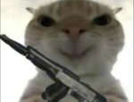 Good Kitty Nation
