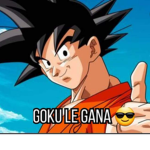 Los ninja mangos
