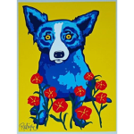 Blue dog studios