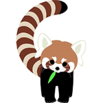 Red panda studio :3