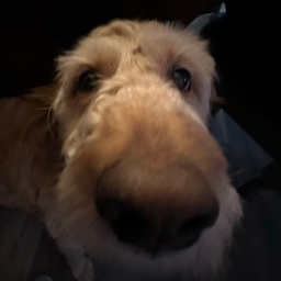 ;益;