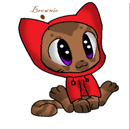 Cat With A Hoodie Roblox decal