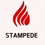 STAMPEDE STUDIO