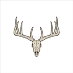 The Damaged Deer