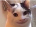 بسبس نيًًوً