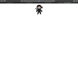 ninja atack